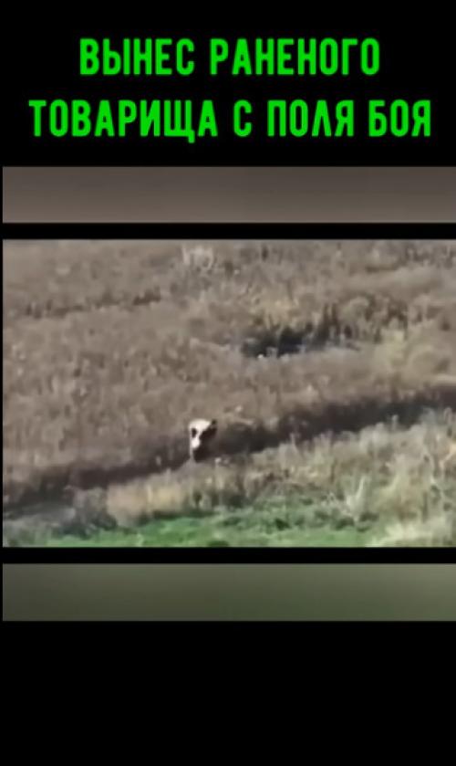 В ДНР боец нёс раненого товарища 2, 5 километра под огнём и получил представление к ордену мужества!