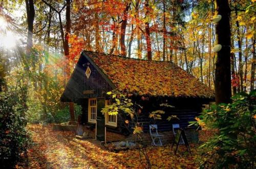 Дома, архитектором которых как будто была сама природа. 01