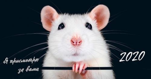 Кто из вас в год крысы родился? 01