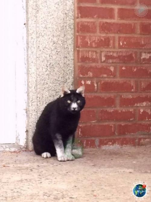 Я ашла особ о о ота с од я и о и я ти и и. 03