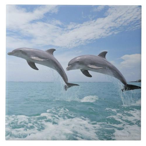 Представьте: тёплый день, воды у северного острова новой Зеландии, отец с дочерью мирно плавают в океане. 01