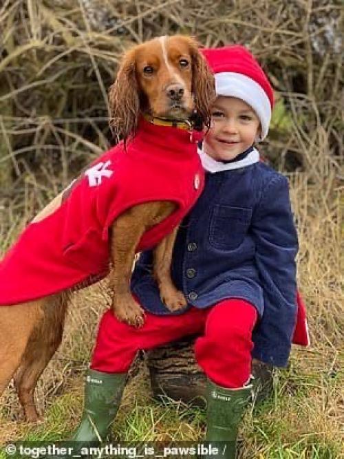 Этот кокер-спаниель - первым, с кем заговорил ребёнок! 03