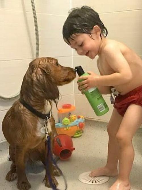 Этот кокер-спаниель - первым, с кем заговорил ребёнок! 02