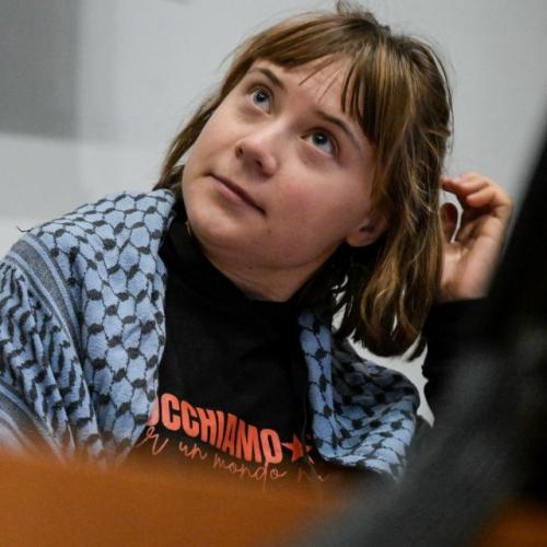 Шведская экоактивистка стала фигуранткой расследования после участия в акции в Хельсинки в 2024 году. 02