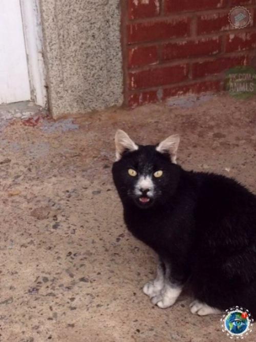 Я ашла особ о о ота с од я и о и я ти и и. 01