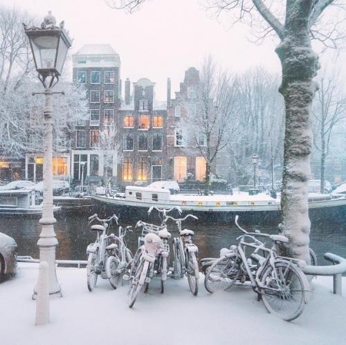 Заснеженный Амстердам.  Путешествия интересные факты.