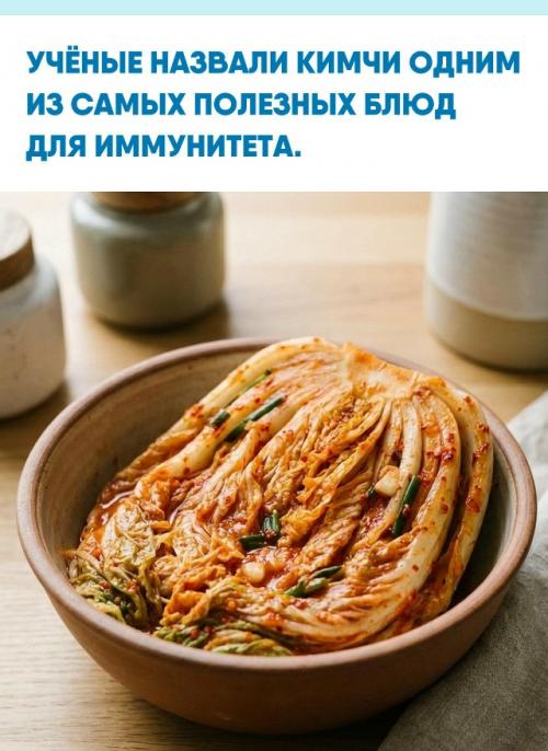 Исследования показали, что кимчи работает как иммунный регулятор: активирует нужные клетки и одновременно подавляет воспалительные процессы.  