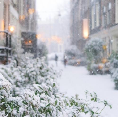 Заснеженный Амстердам.  Путешествия интересные факты. 01