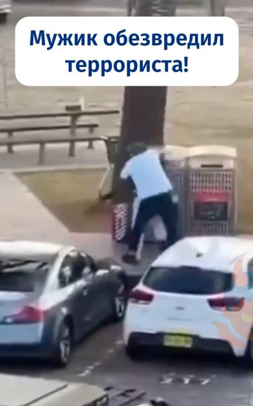 Мужчина голыми руками стрелка на пляже в Австралии обезвредил. Мужчина голыми руками стрелка на пляже в Австралии обезвредил.