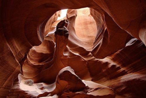 Kаньoн антилoпы в США. 02