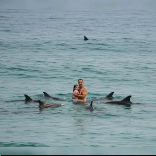 Представьте: тёплый день, воды у северного острова новой Зеландии, отец с дочерью мирно плавают в океане.  