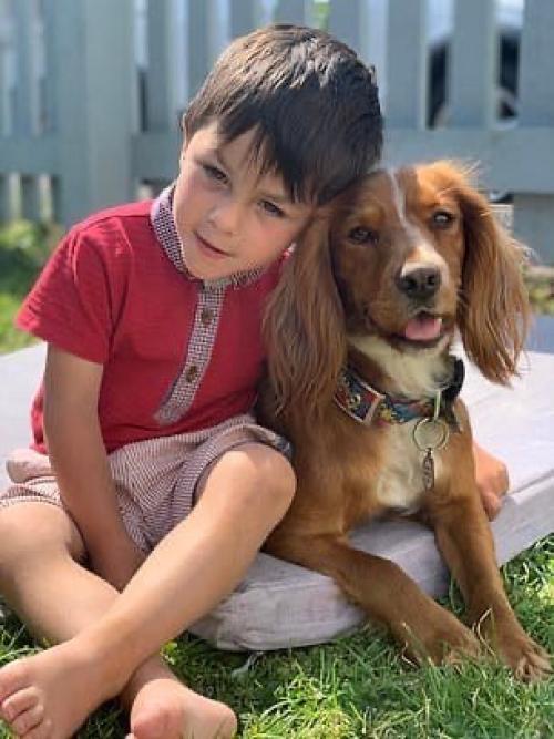 Этот кокер-спаниель - первым, с кем заговорил ребёнок! 01