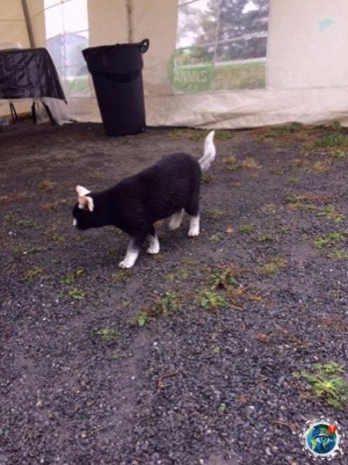 Я ашла особ о о ота с од я и о и я ти и и. 02