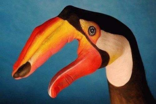 10 забавных загадок.