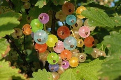 Как влияет цвет пищи на больных? Как влияет цвет пищи на больных?