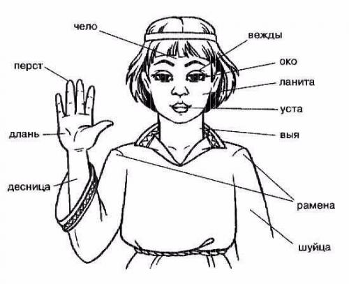 Словарь устаревших слов.
