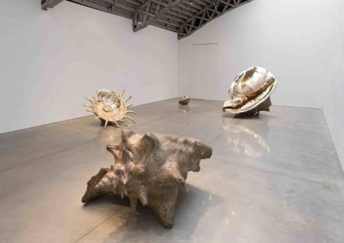 Удивительные раковины, отлитые из бронзы. 06