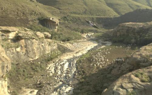 Ваканда - это африканское государство во вселенной Marvel. 02