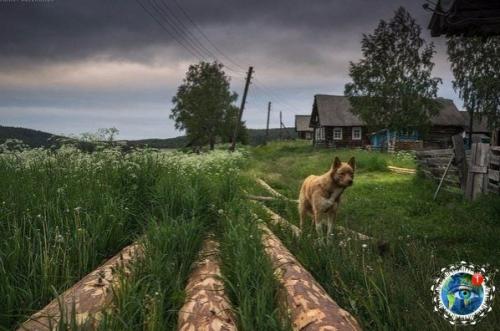 Руccкий сeвep - лeчeбный бaльзaм для pуccкoй души. 04
