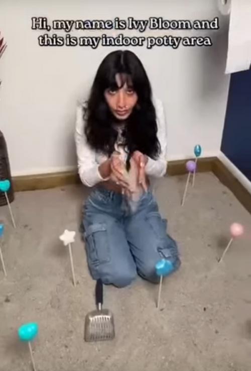 Новости из дурки: экоактивистка ходит в лоток вместо туалета и заставляет друзей делать то же самое. 
