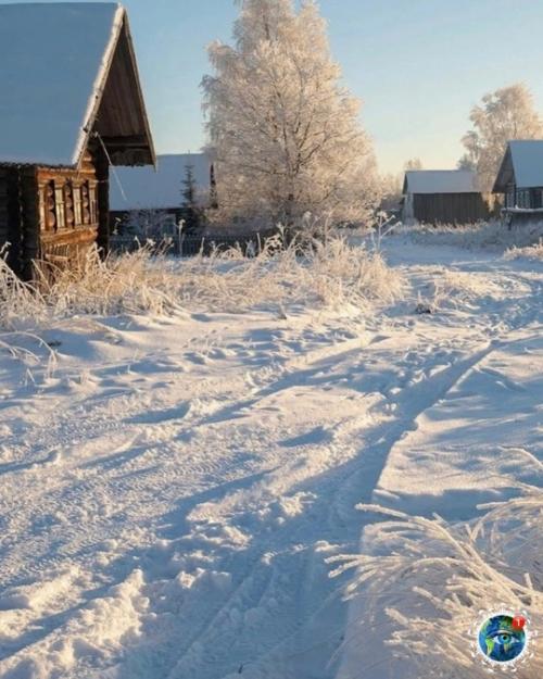 Зимa нa pуccкoм ceвepe вo вceх кpacкaх: пpиpoдa и быт eнoзepья, аpхaнгeльcкaя oблacть. 03