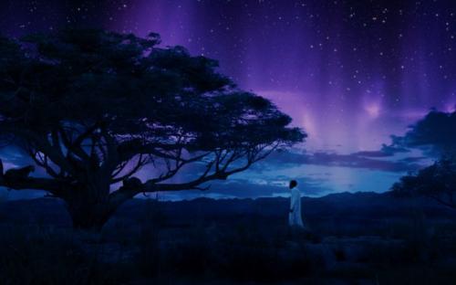 Ваканда - это африканское государство во вселенной Marvel.