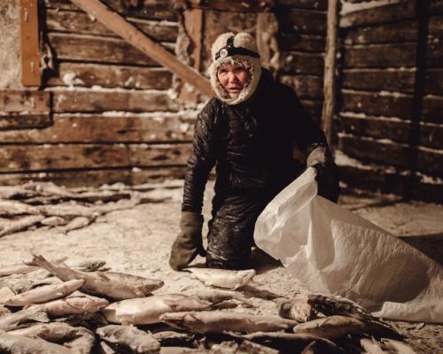 Топили ли печи рыбой в прошлом? 03