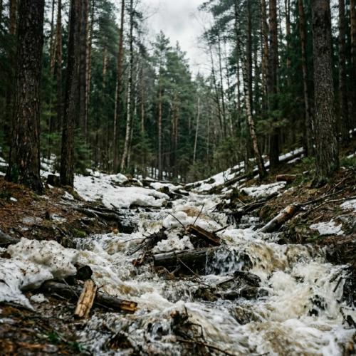 Снежный покров в области уже достиг уровня в две нормы и местами превышает его. 02