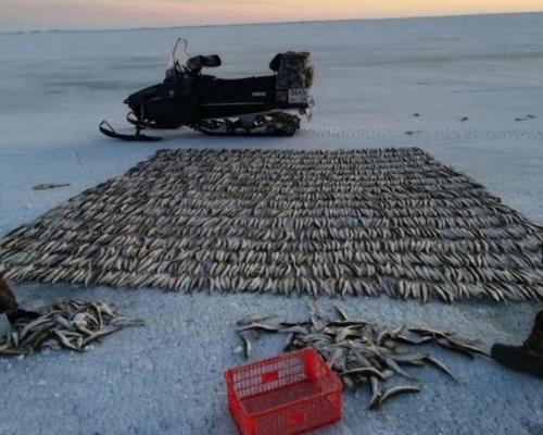 Топили ли печи рыбой в прошлом? 01