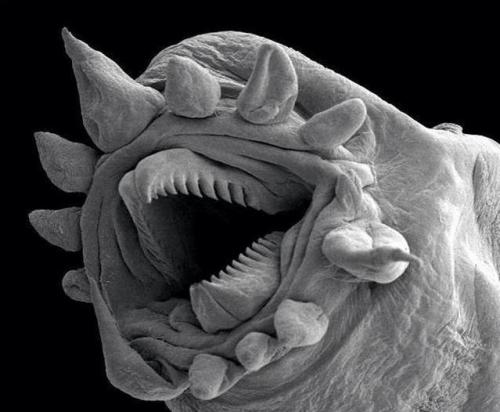 Существо, которое невозможно убить. 02