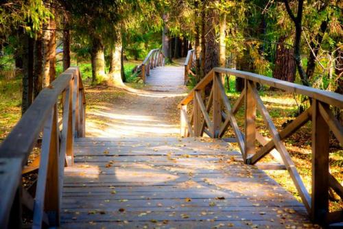 Усадьба а. Н. Островского щелыково - костромской дом русского драматурга. 06