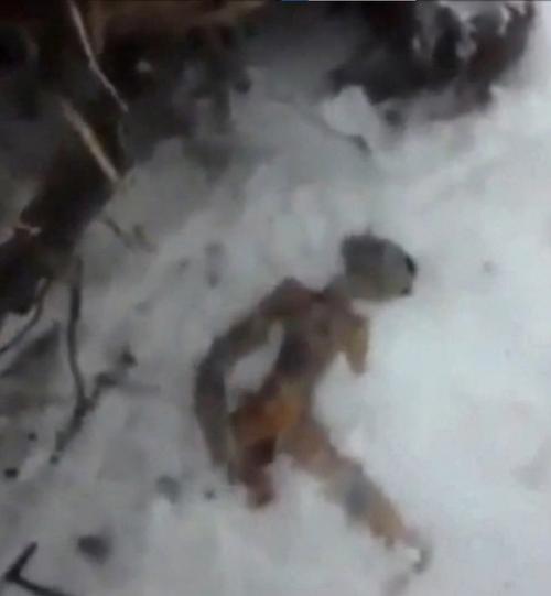 В городе Комсомольск-на-амуре двое мужчин обнаружили тело пришельца. 01