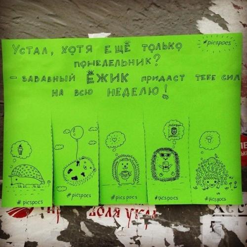 Автор этих забавных объявлении? 01