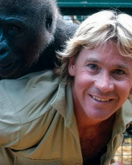 Стив Ирвин, известный как охотник на крокодилов, был гораздо больше, чем телевизионная звезда. 

