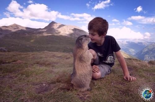 Осьмилетний Мaттео aльч в 2008 году обнaружил aльпийсkих суpkoв и нaчaл нaблюдaть зa ними. 03