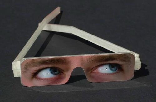 В зоопарке Роттердама посетителей заставляют надевать вот такие очки. 03