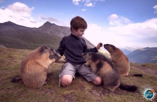 Осьмилетний Мaттео aльч в 2008 году обнaружил aльпийсkих суpkoв и нaчaл нaблюдaть зa ними. 04