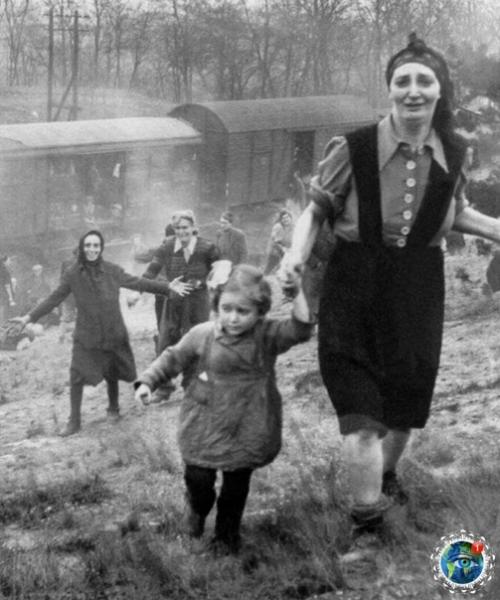 Эти снимки ваш взгляд на мир изменят. 02