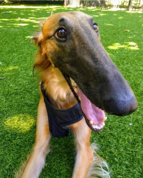 Недавно начали активно обсуждать внешность этой необычной милашки! 05