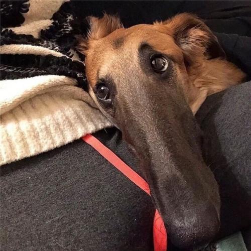 Недавно начали активно обсуждать внешность этой необычной милашки! 01