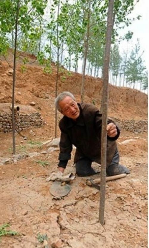 Настоящий соус для шавермы/шаурмы. 02 Настоящий соус для шавермы/шаурмы. 02