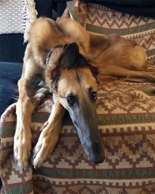 Недавно начали активно обсуждать внешность этой необычной милашки! 03