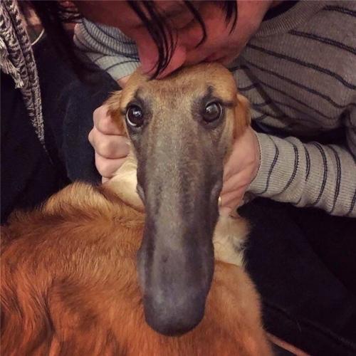 Недавно начали активно обсуждать внешность этой необычной милашки! 02