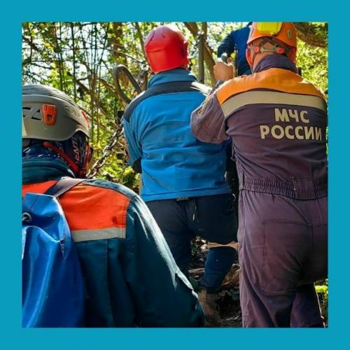 Тpaгeдия в Сoчи.  Туpиcт в ущeльe пocлe нapушeния пpaвил copвaлcя. 02