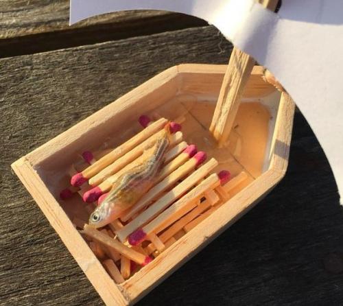 Умершей аквариумной рыбке устроили похороны в стиле древних викингов - с уплывающей горящей ладьей. 01