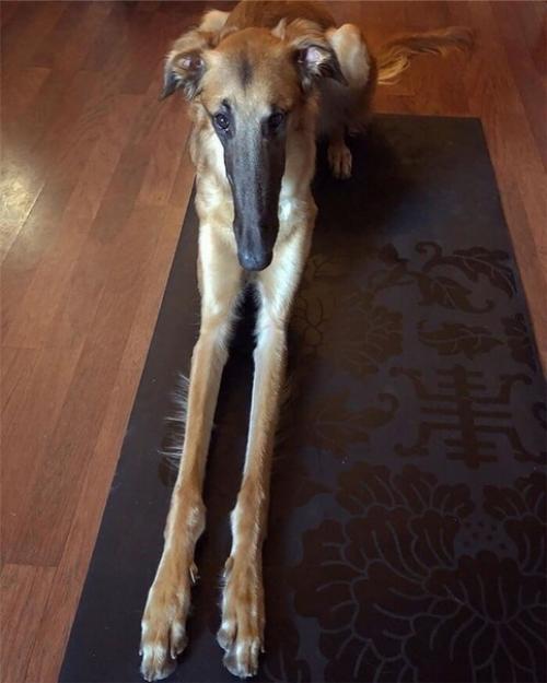 Недавно начали активно обсуждать внешность этой необычной милашки! 04