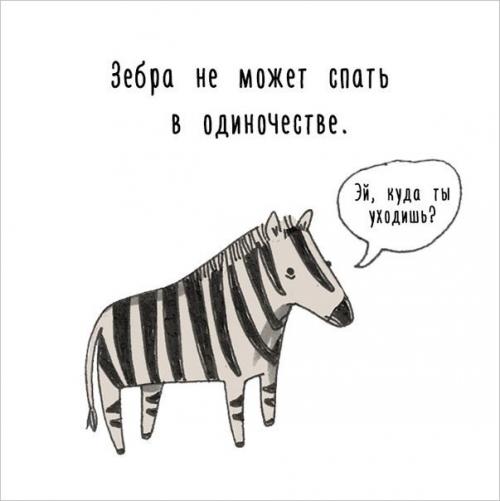 Художница придумала самый милый способ рассказать интересные факты о животных. 03