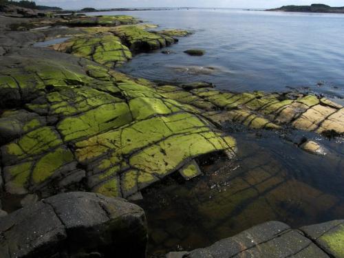Онежский крестный монастырь, Россия. 04