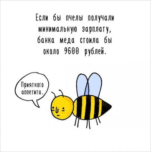 Художница придумала самый милый способ рассказать интересные факты о животных. 07