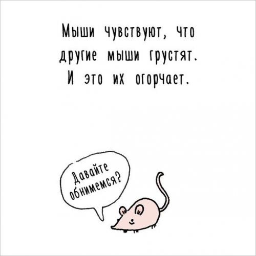 Художница придумала самый милый способ рассказать интересные факты о животных. 01